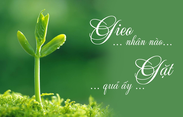 Vòng tuần hoàn nhân quả