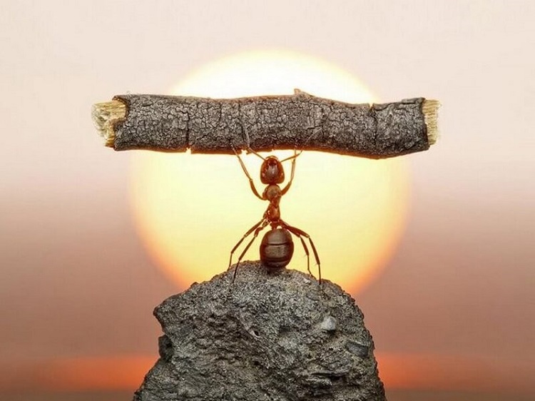 Hành trình nội tâm